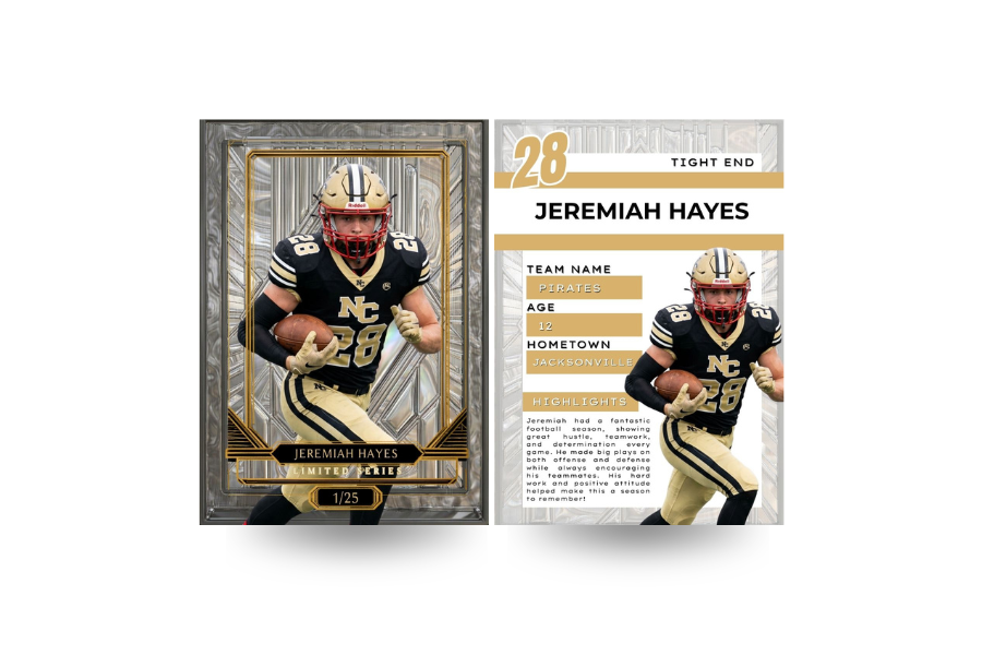 Diamond Hawk Sports Card