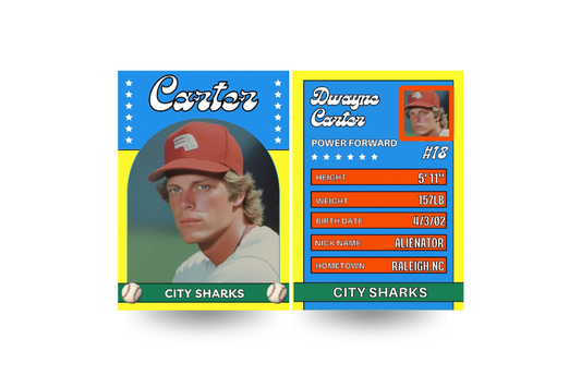 Retro Stars Sports Card