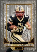 Diamond Hawk Sports Card