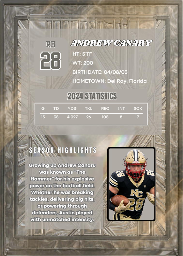 Silver Diamond Custom Trading Card - Image 2