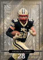 Silver Diamond Custom Trading Card