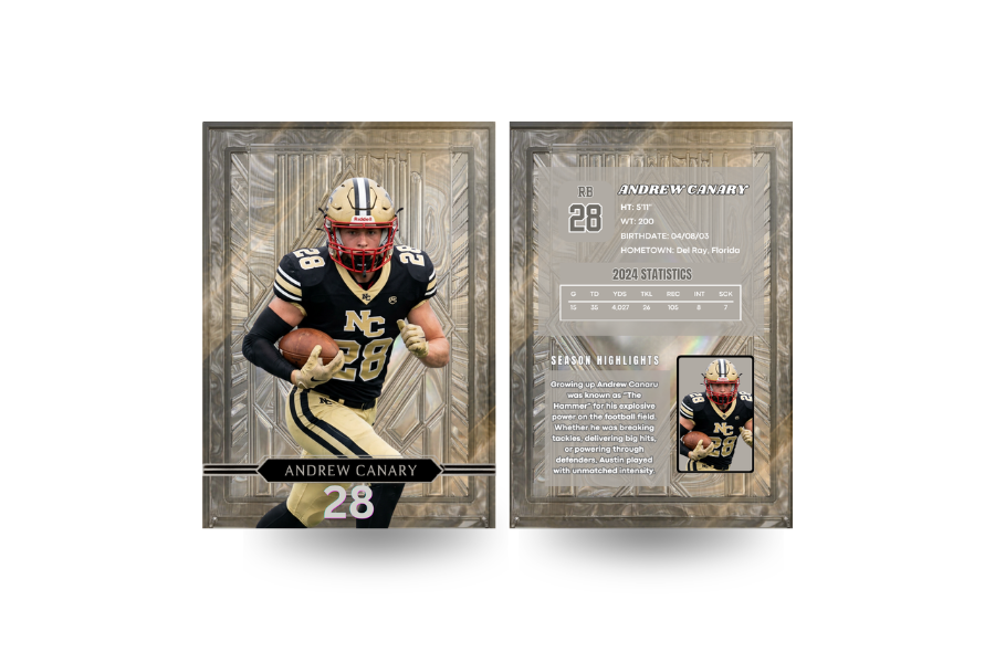 Silver Diamond Custom Trading Card - Image 3