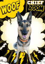 WOOF! Custom Pet Trading Card